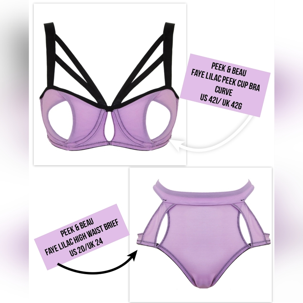 NWT Peek & Beau Plus Size Faye Lilac Peek Cup Bra 42I & High Waist Briefs US20